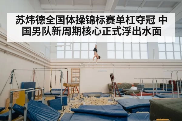 苏炜德全国体操锦标赛单杠夺冠 中国男队新周期核心正式浮出水面